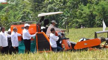 Presiden Prabowo Panen Raya di Majalengka, Jawa Barat