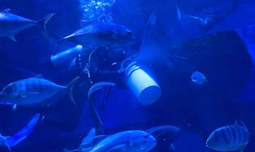 Edukasi Hayati Bawah Laut 