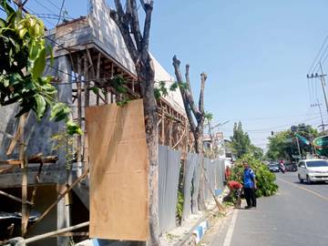 DLH Sampang Pangkas Pohon Cegah Bencana Cuaca Ekstrem