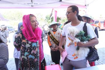 Vaksinasi dan Sterilisasi Gratis Bagi Kucing dan Anjing