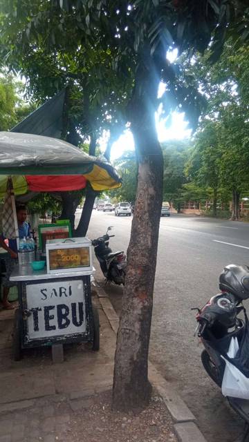 Segarnya Es Tebu Panjang Jiwo