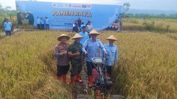 Dukung Ketahanan Pangan Nasional, Wonogiri Gelar Panen Raya
