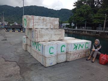 Ikan dari Sangihe Dijual Ke Luar Daerah