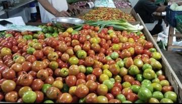 Harga Rica dan Tomat di Sitaro Turun
