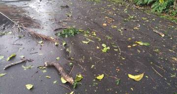 Cuaca Buruk Dahan dan Ranting Kotori Badan Jalan