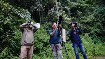 Mengamati Burung Di Bur Mulo Forest Park