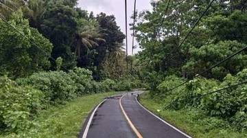 Pohon Tumbang di Talaud, Hantam Tiang Listrik 
