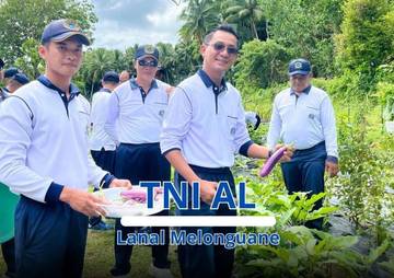 Lanal Melonguane Panen Hasil Han Pangan