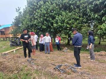 Dinas Pertanian Provinsi Melakukan Kunjungan