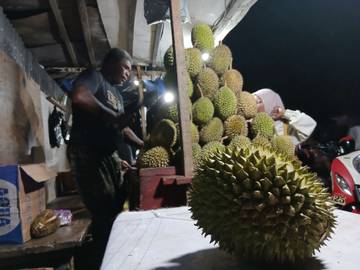 Buah Durian Mulai Ramai Dijual di Ternate