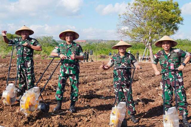 Personnel of Air Force Base Plant Lamuru Corn - RRI.co.id