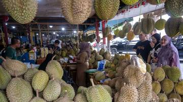 Ekspor Durian Indonesia 2024 Capai 600 Ton