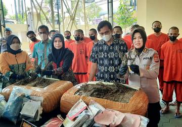 Keberhasilan Ketiga Mengungkap Sindikat dan Ladang Ganja