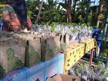 Souvenir Bibit Tanaman di Hari Ibu Dusun Kepuh Bambanglipuro Bantul