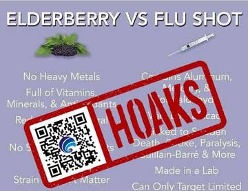 Hoaks Buah Elderberry dapat Menggantikan Vaksin Influenza 