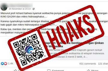 Hoaks Nyamuk Wolbachia Tularkan Penyakit Kaki Gajah