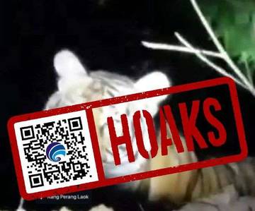 Hoaks Video Harimau Berkeliaran di Madura