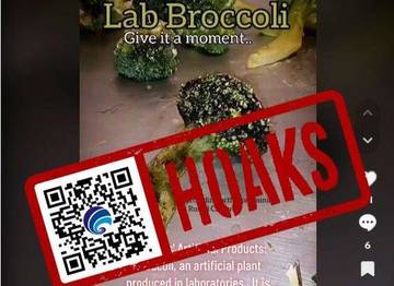 Hoaks Video Brokoli Buatan Produksi Laboratorium Bill Gates
