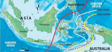 Garis Wallace, Misteri Yang Membagi RI Jadi Dua