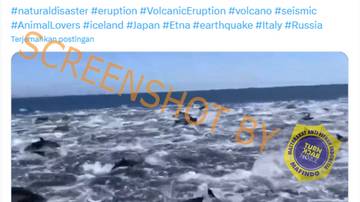 [SALAH] Video Ratusan Lumba-lumba Berenang di Lautan Setelah Erupsi Gunung di Meksiko