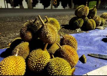Tidak Benar Buah Durian Mengandung Kolesterol