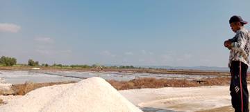 Petambak Gili Raja, Simpan Garam Hasil Panen