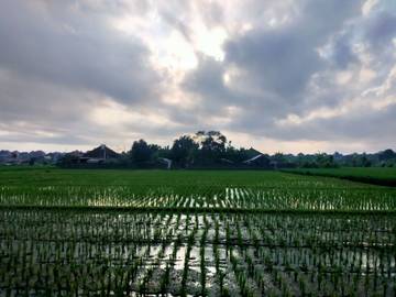 Masuk Peralihan Musim, Suhu Udara Jadi Lebih Panas, Ada Apa?