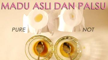 Cara Membedakan Madu Asli dan Palsu 