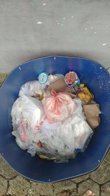 Cara Ampuh Usir Lalat dan Belatung di Tempat Sampah