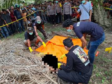 Polisi Selidiki Kasus Penemuan Mayat di Kebun Sawit 