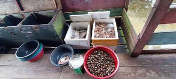 Sensasi Kelezatan Seafood Singkil, Wajib Coba!