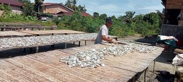 Mengintip Proses Pembuatan Ikan Asin di Singkil 