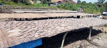 Omzet Penjualan Ikan Asin di Singkil Menurun Drastis