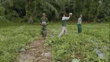 Prajutit TNI Raup Puluhan Juta Dari Jual Semangka 