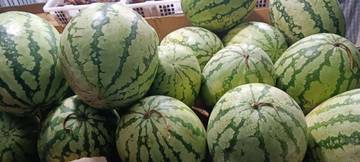 Tips Memilih Semangka Merah yang Manis dan Segar