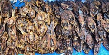 Begini  Cara Membuat Ikan Lele Asap Khas Singkil
