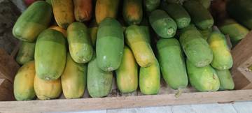 Cara Memilih Buah Pepaya Manis, Ini Tipsnya