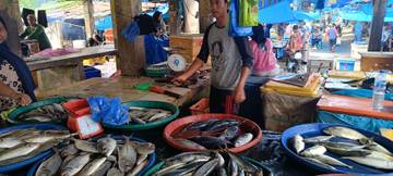 Begini Cara Memotong Ikan Yang Benar, Ikuti Tipsnya