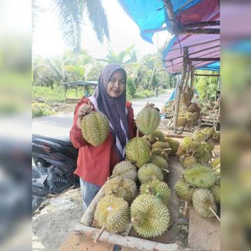 Berburu Durian Sikelang Subulussalam yang Manis Legit