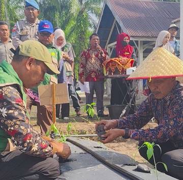 Perkuat Ketahanan Pangan, Singkil Gencarkan Penanaman Cabai