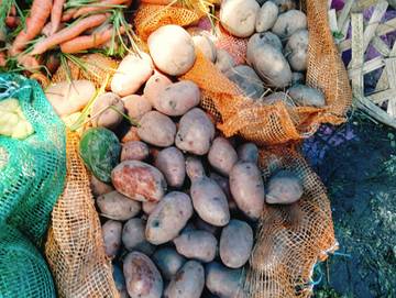 Harga Kentang di Singkil Turun Drastis 