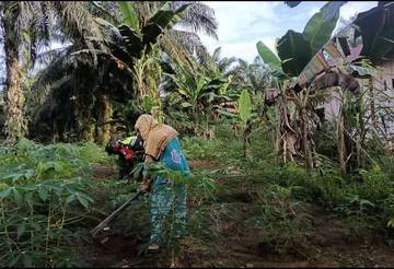 TNI Dukung Program Ketahanan Pangan Warga Singkil 