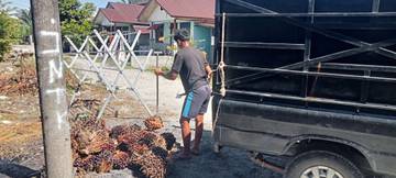 Harga TBS Sawit di Singkil Naik Rp2.450 Perkilogram 