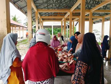 Segini Harga Ayam Potong di Aceh Singkil