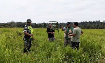 TNI Bersama Warga di Singkil Perkuat Ketahanan Pangan 