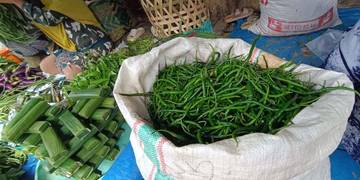 Melonjak, Segini Harga Cabai Hijau di Aceh Singkil