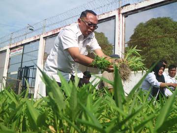 Rutan Singkil Panen Sayur Hasil Ketahanan Pangan