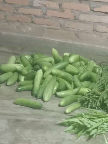 Pedagang Sayur Di Singkil Harapkan Bantuan Usaha 