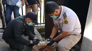 Tak Punya Dokumen, Karantina Maluku Musnahkan Ayam dan Burung 