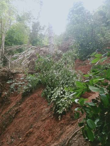 Longsor Ancam Pemukiman dan Kebun Warga Negeri EFFA 